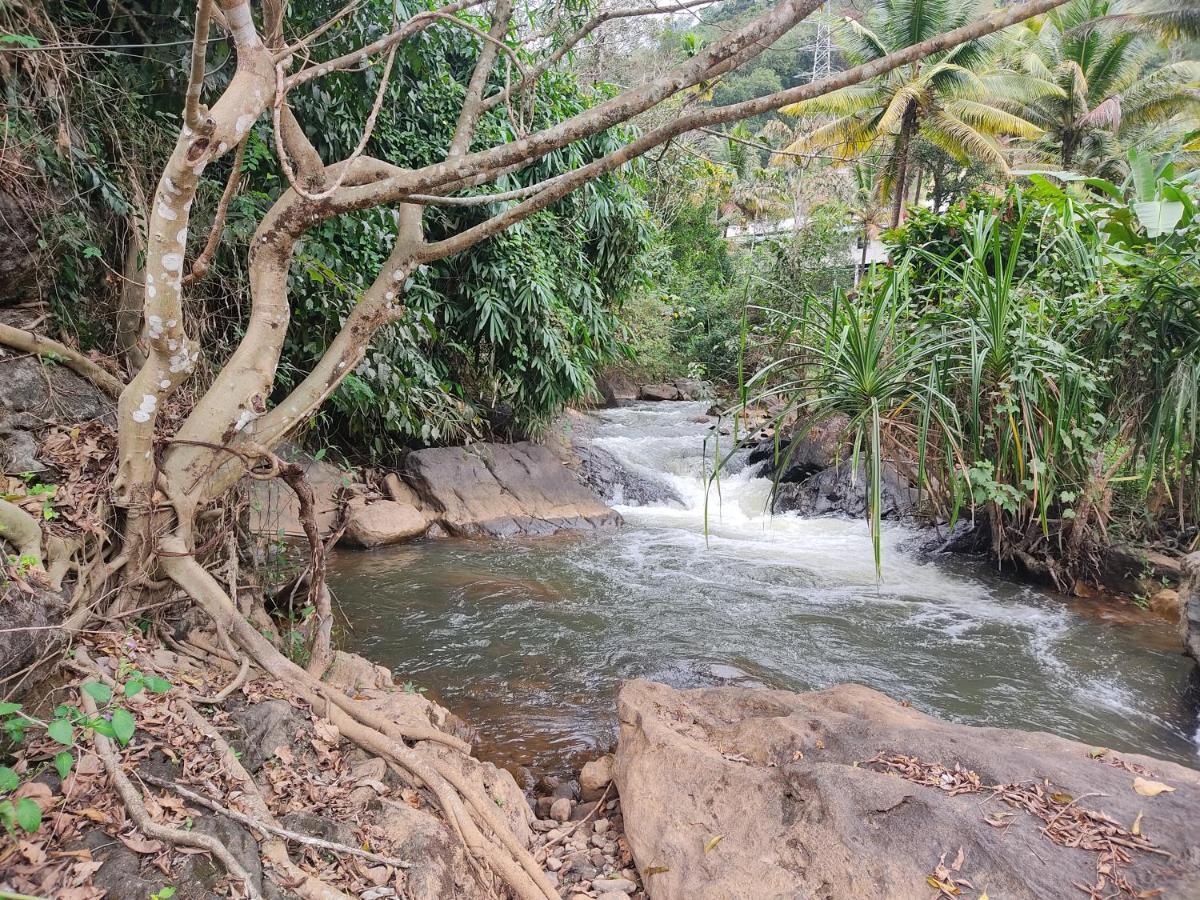 Riverbench Homestay Munnar, Anaviratty ภายนอก รูปภาพ