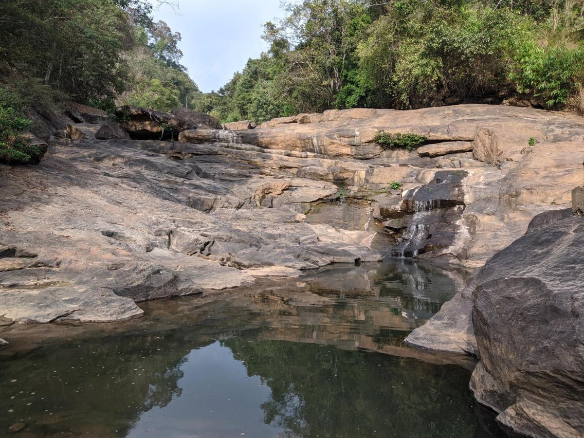 Riverbench Homestay Munnar, Anaviratty ภายนอก รูปภาพ