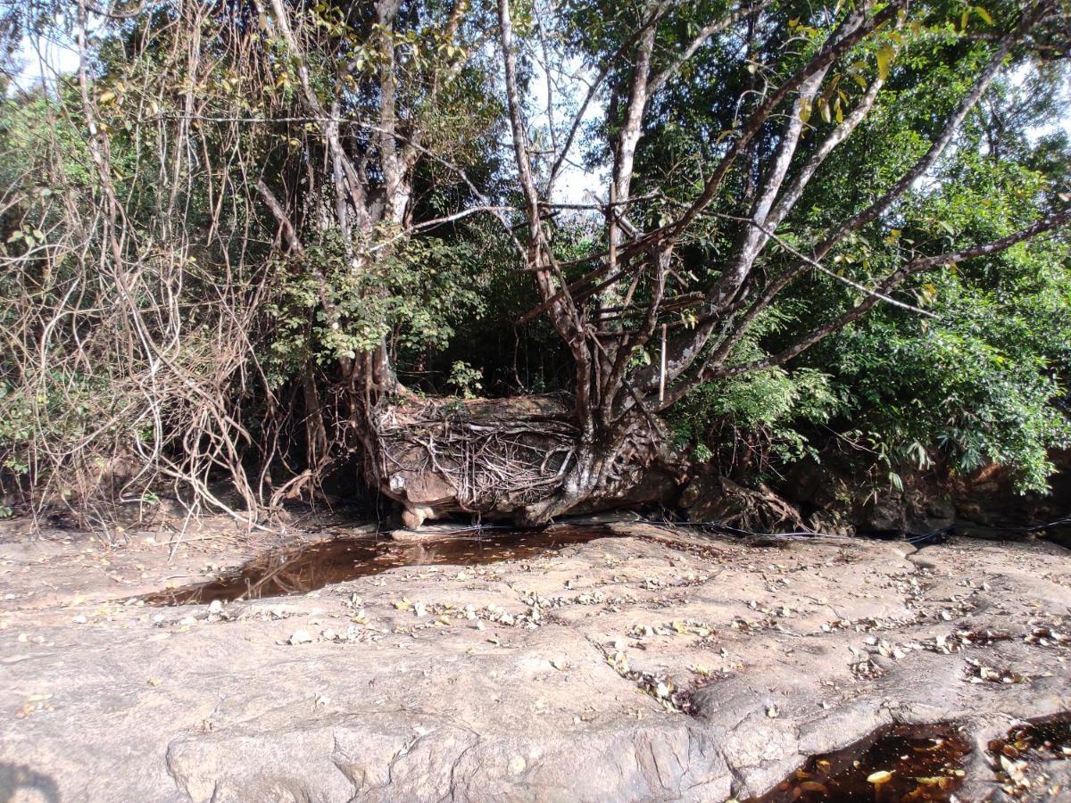 Riverbench Homestay Munnar, Anaviratty ภายนอก รูปภาพ