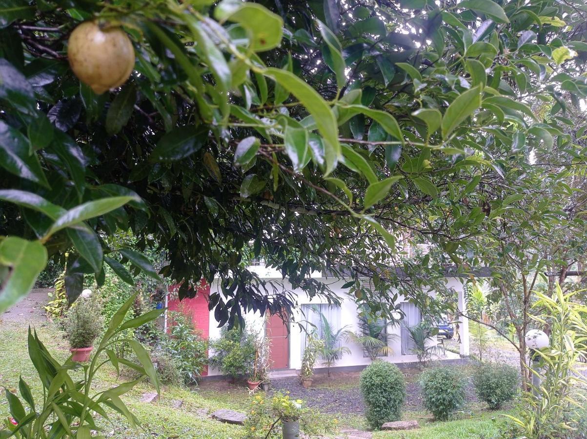 Riverbench Homestay Munnar, Anaviratty ภายนอก รูปภาพ