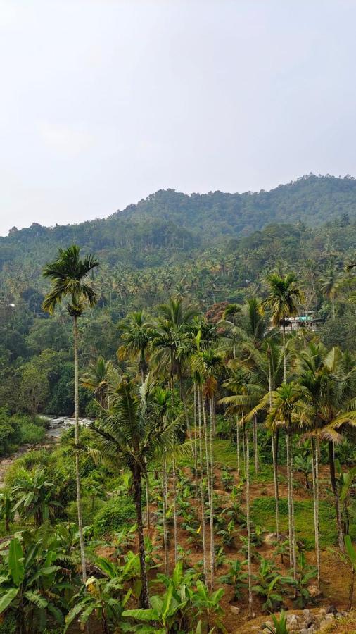 Riverbench Homestay Munnar, Anaviratty ภายนอก รูปภาพ