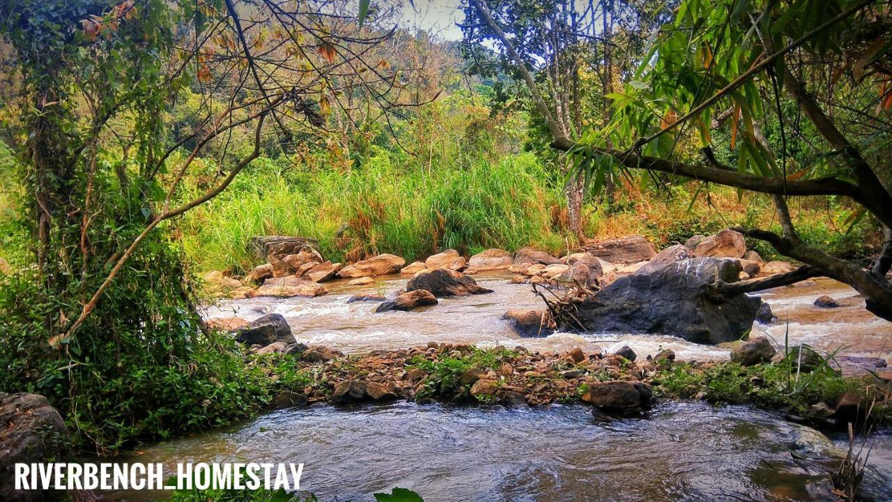 Riverbench Homestay Munnar, Anaviratty ภายนอก รูปภาพ